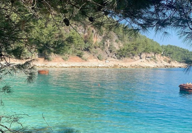 HALKİDİKİ SELANİK VE THASSOS MASALI