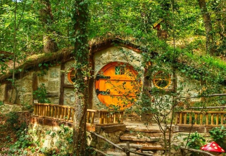 GÜNÜBİRLİK DERİNCE HARİKALAR SAHİLİ- ORMANYA- MAŞUKİYE- SAPANCA GÖLÜ TURU