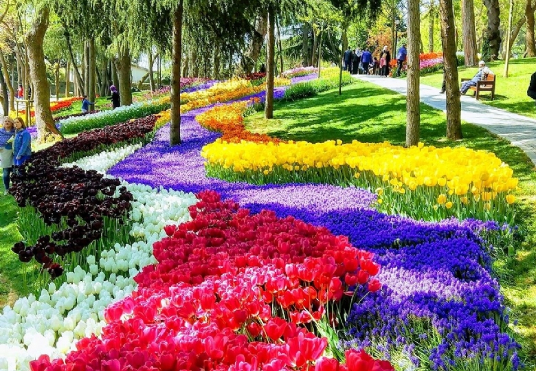 🌷 GÜNÜBİRLİK LALE FESTİVALİ TURU 🌷