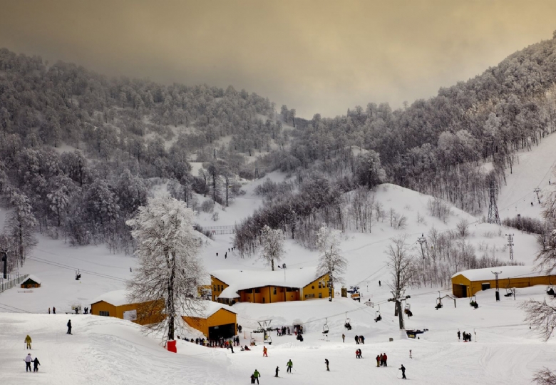 KARTEPE – ORMANYA DOĞA KAÇAMAĞI