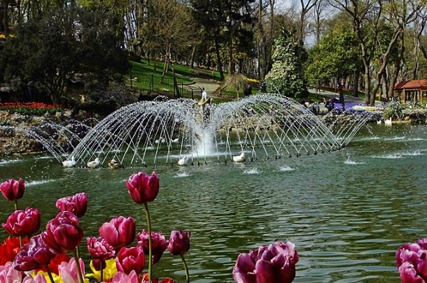 🌷 GÜNÜBİRLİK LALE FESTİVALİ TURU 🌷