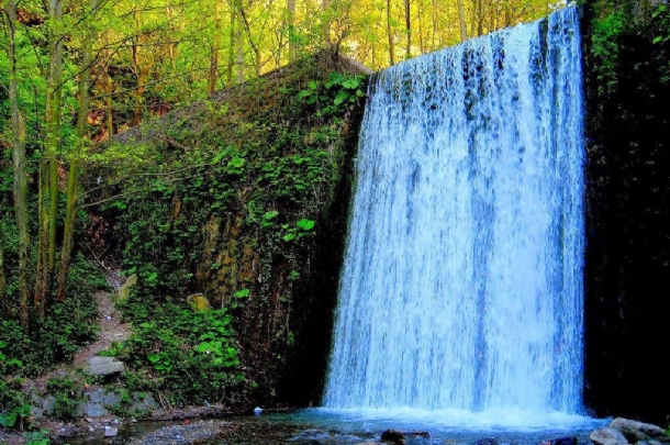 ABANT – MAŞUKİYE – SAPANCA DOĞA TURU