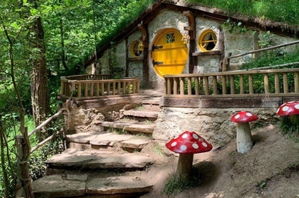 KARTEPE – ORMANYA DOĞA KAÇAMAĞI