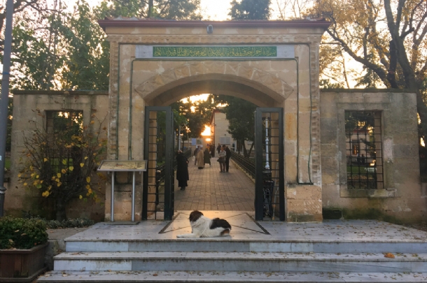 GÜNÜBİRLİK İSTANBUL CAMİİLER TURU