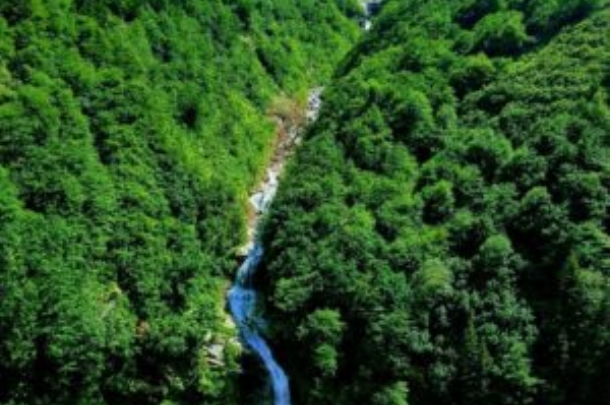 DOĞU KARADENİZ & BATUM KÜLTÜR TURU