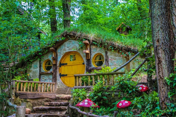 KARTEPE – ORMANYA DOĞA KAÇAMAĞI