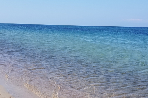 ENEZ ALTINKUM PLAJI YÜZME TURU