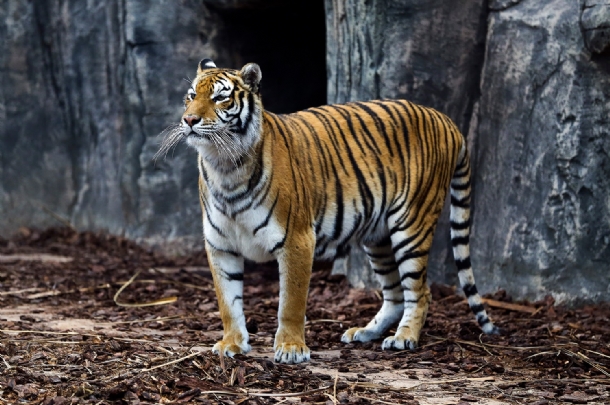 GÜNÜBİRLİK VİAPORT MARİNA COŞKUSU