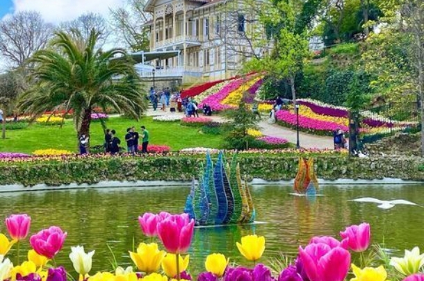 🌷 GÜNÜBİRLİK LALE FESTİVALİ TURU 🌷