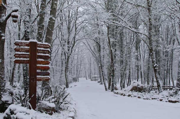 KARTEPE – ORMANYA DOĞA KAÇAMAĞI