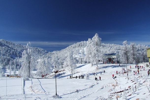 KARTEPE – ORMANYA DOĞA KAÇAMAĞI