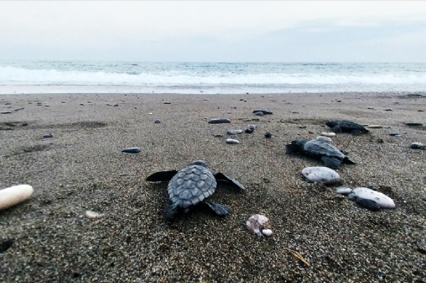 LİKYA’NIN MAVİ VE TARİH YOLCULUĞU