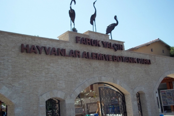 Darıca Hayvanat Bahçesi Turu