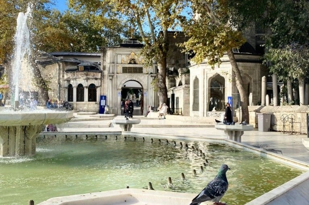 🌷 GÜNÜBİRLİK LALE FESTİVALİ TURU 🌷